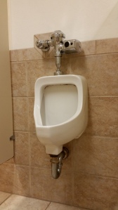 Clogged backed up urinal 